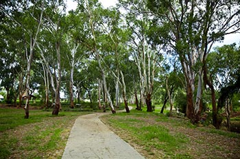 Take a walk along the Adungadoo Walkway